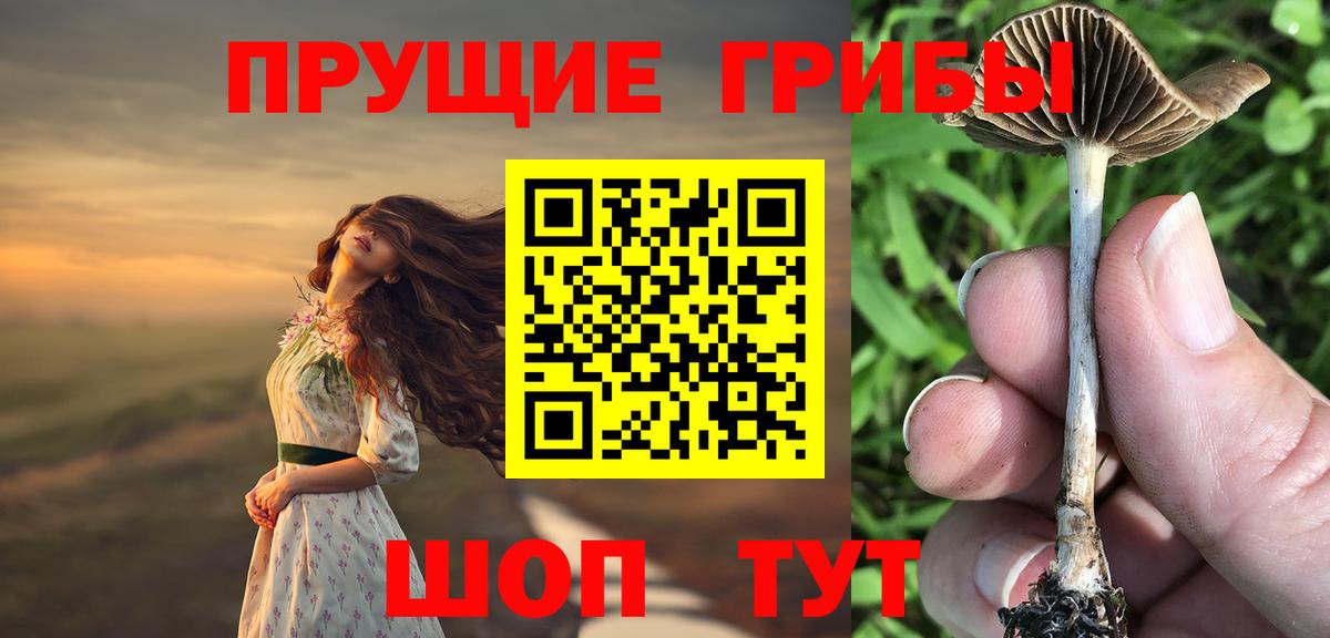 Выкса  Псилоцибиновые грибы Psilocybe  Вход с VPN 